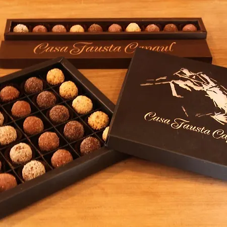 Hotel Casa Fausta Capaul *