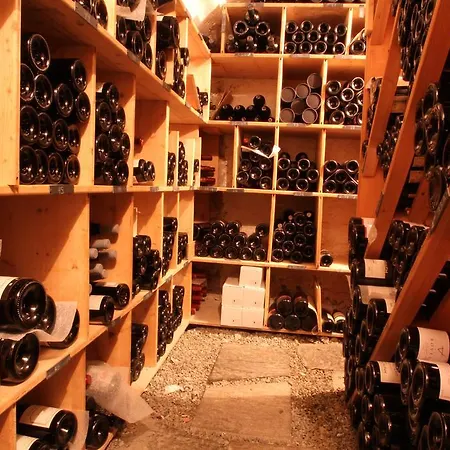 Hotel Casa Fausta Capaul *