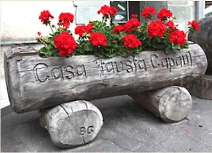 Casa Fausta Capaul ホテル *