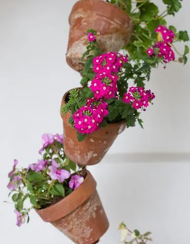 Otel Casa Fausta Capaul *