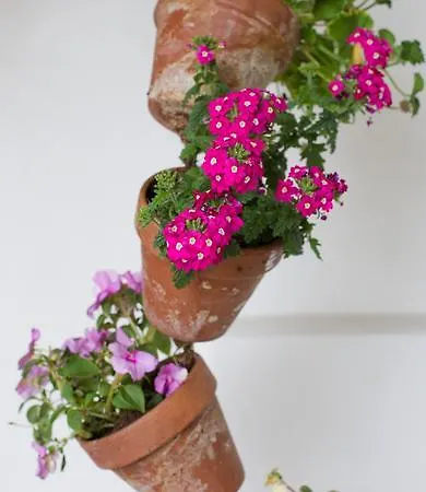 Ξενοδοχείο Casa Fausta Capaul *