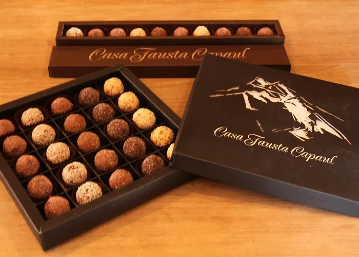 Hotel Casa Fausta Capaul *