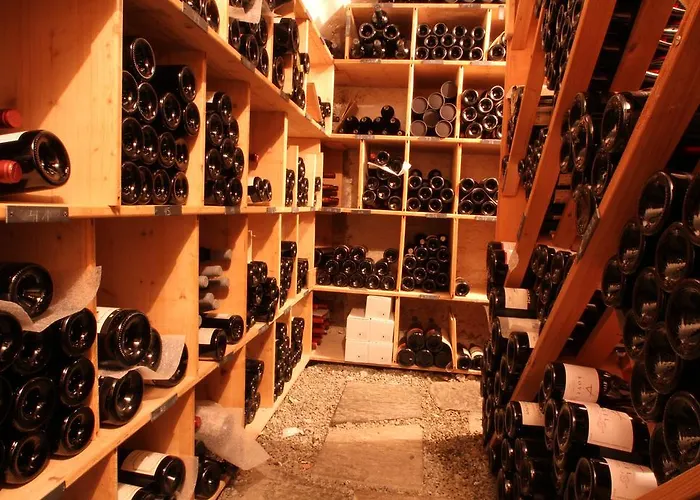 Hotel Casa Fausta Capaul *